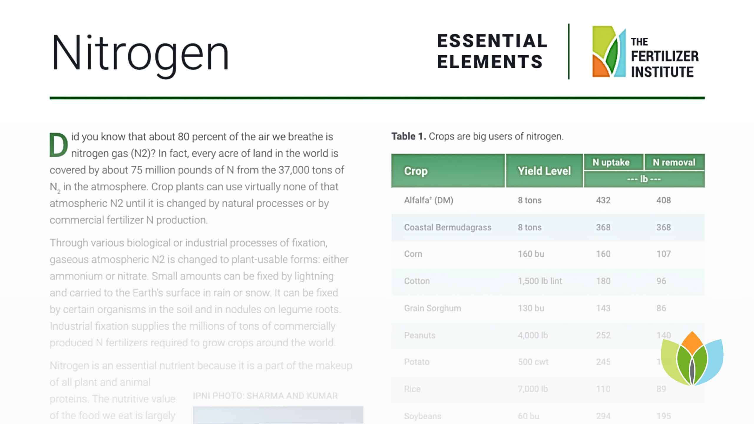 Essential Elements: Nitrogen