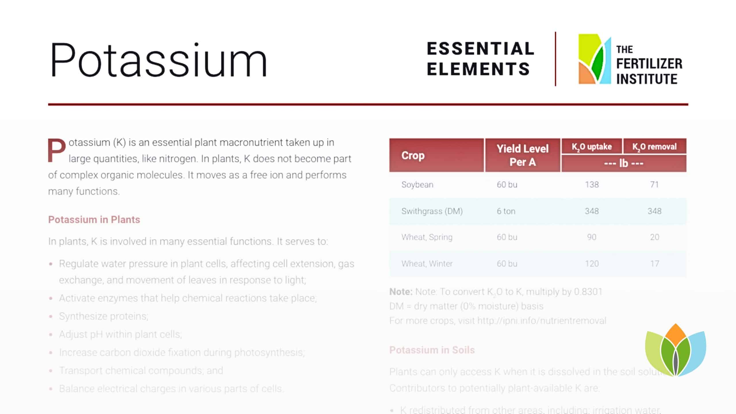 Essential Elements: Potassium