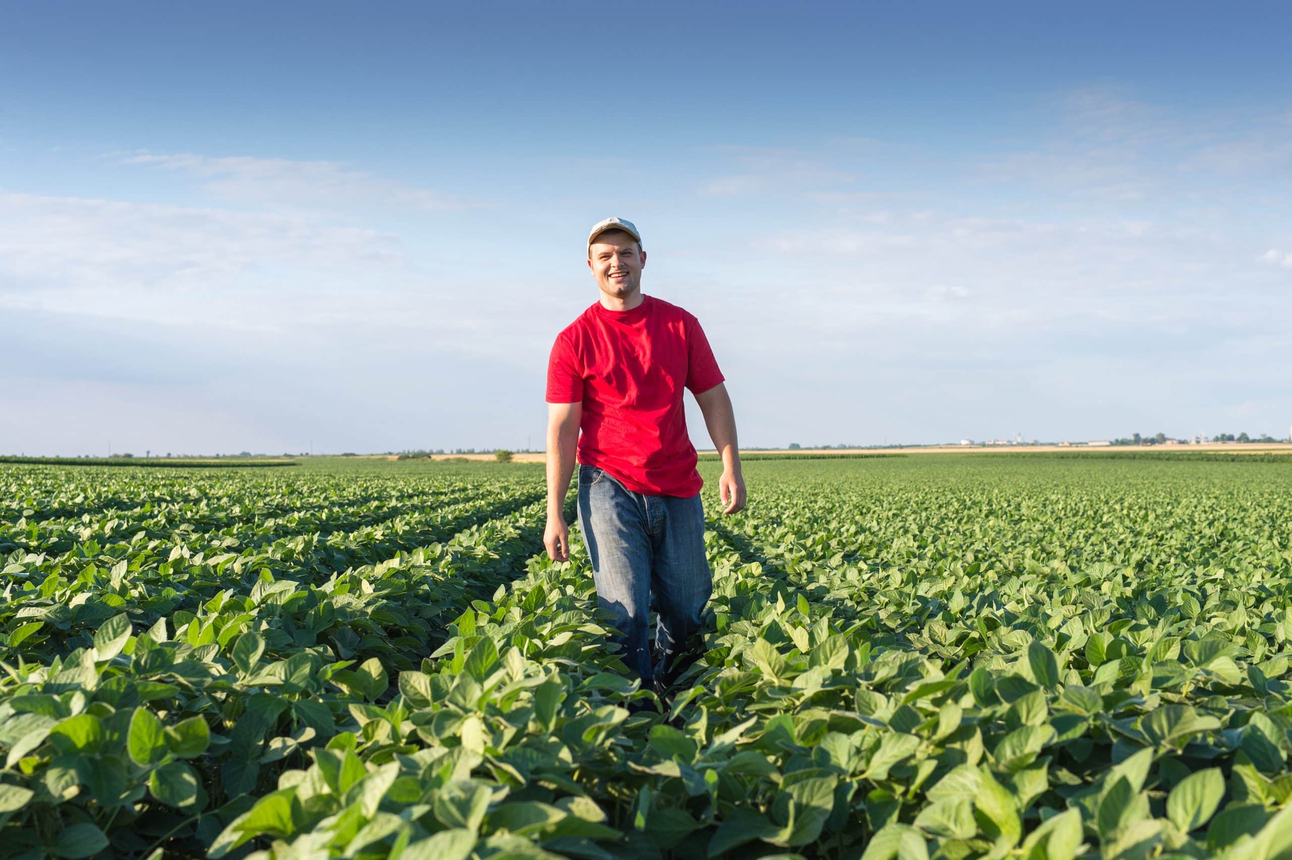 Agriculture Industry Leaders Urge Congress to Support Farmers in Year-End Funding Bill 