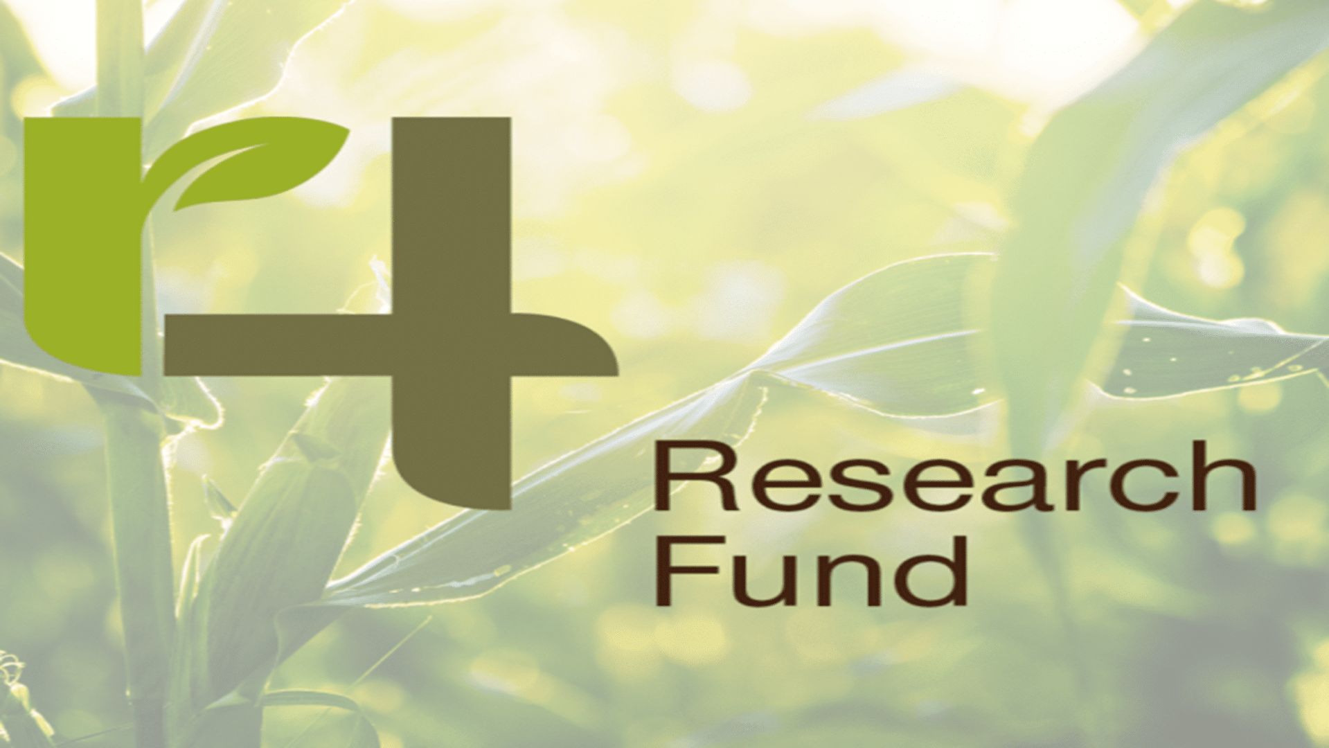 Published Journal Articles from the 4R Research Fund  